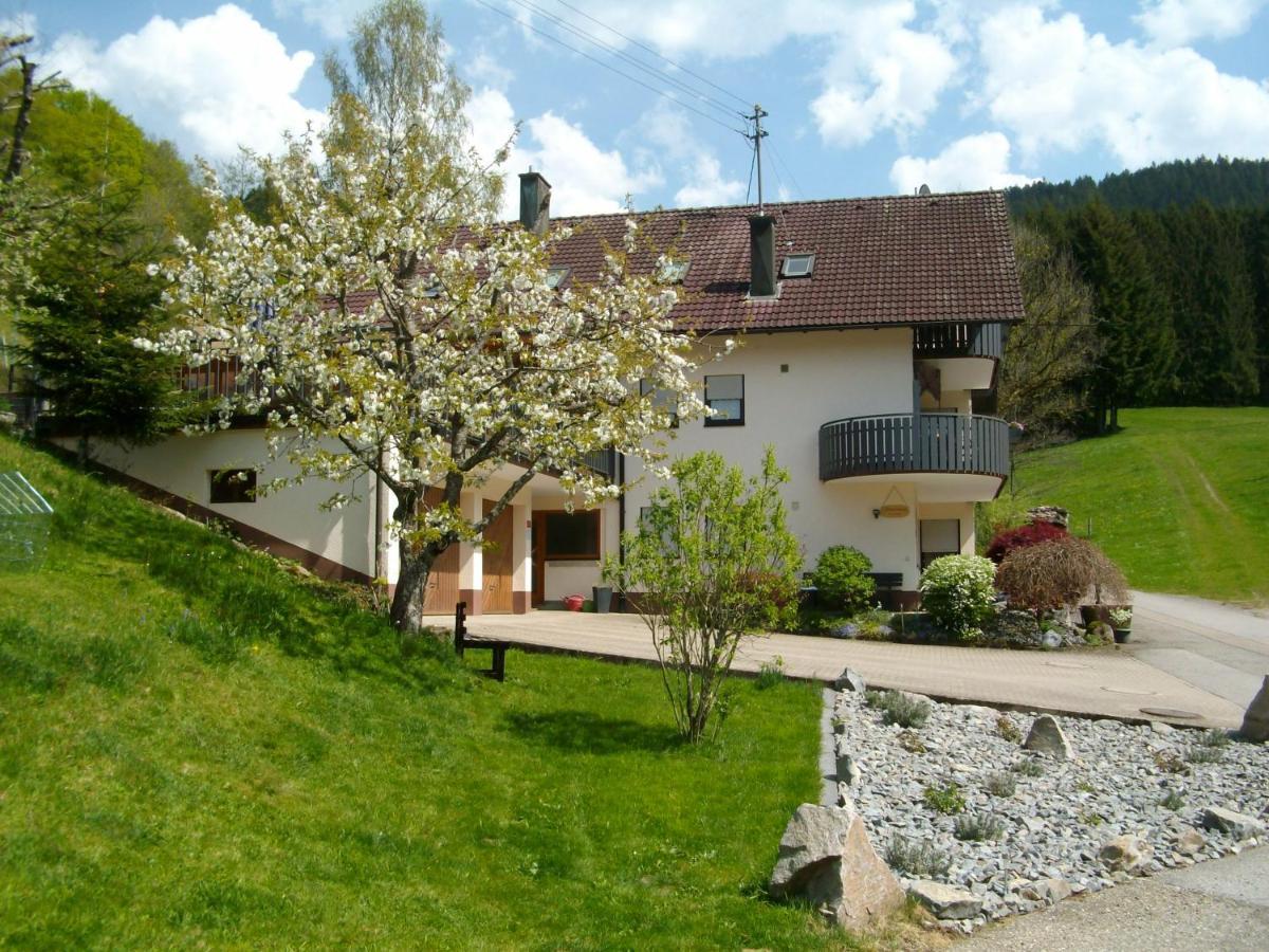 Ferienwohnung Am Sulzbaechle Bad Rippoldsau-Schapbach Exterior photo